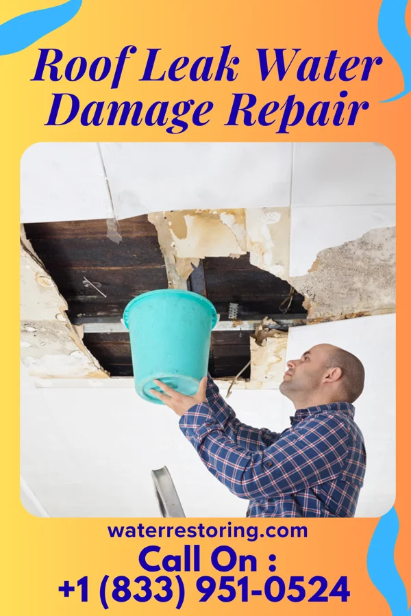 Roof Leak Water Damage Repair in Tennyson, IN