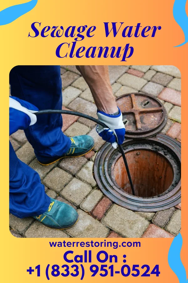 Sewage Water Cleanup in Tennyson, IN